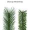 7.5ft. Pre-Lit Colorado Pine Artificial Christmas Tree, Dual-Color LED Lights